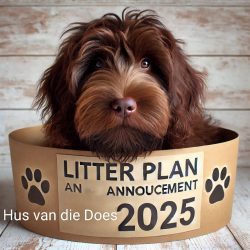 2025